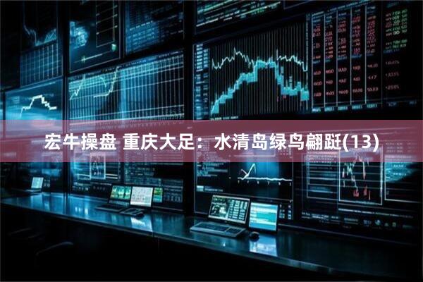 宏牛操盘 重庆大足：水清岛绿鸟翩跹(13)