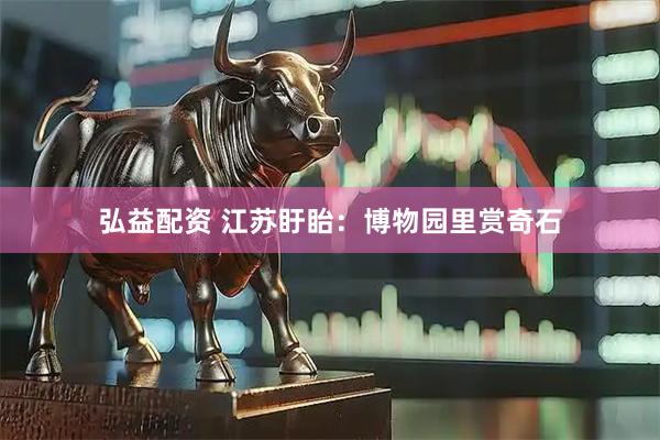 弘益配资 江苏盱眙：博物园里赏奇石